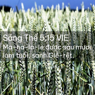Picture 02 - Sáng Thế 5:15 VIE - Ma-ha-la-le được sáu mươi lăm tuổi, - Bible Verse Picture