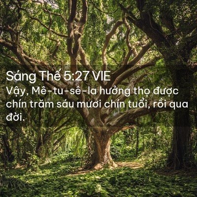 Picture 02 - Sáng Thế 5:27 VIE - Vậy, Mê-tu-sê-la hưởng thọ được - Bible Verse Picture