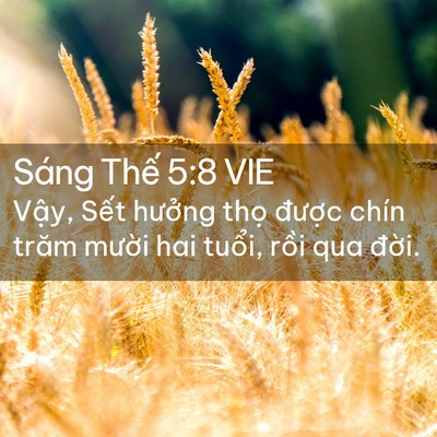 Picture 02 - Sáng Thế 5:8 VIE - Vậy, Sết hưởng thọ được chín trăm - Bible Verse Picture