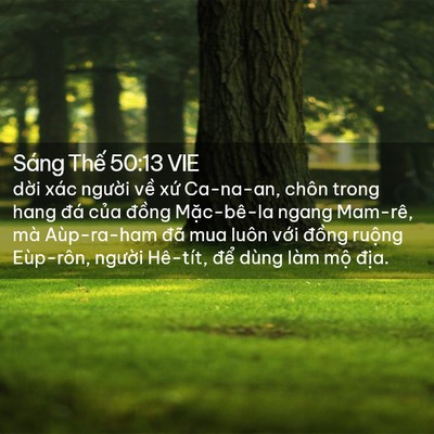 Picture 02 - Sáng Thế 50:13 VIE - dời xác người về xứ Ca-na-an, chôn - Bible Verse Picture