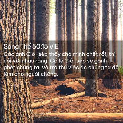 Picture 02 - Sáng Thế 50:15 VIE - Các anh Giô-sép thấy cha mình chết rồi, - Bible Verse Picture