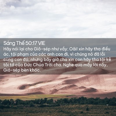Picture 02 - Sáng Thế 50:17 VIE - Hãy nói lại cho Giô-sép như vầy: Oâi! - Bible Verse Picture