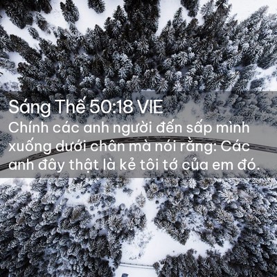 Picture 02 - Sáng Thế 50:18 VIE - Chính các anh người đến sấp mình - Bible Verse Picture