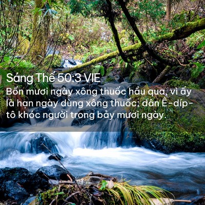 Picture 02 - Sáng Thế 50:3 VIE - Bốn mươi ngày xông thuốc hầu qua, vì - Bible Verse Picture