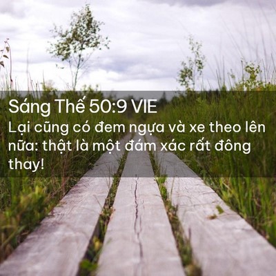 Picture 02 - Sáng Thế 50:9 VIE - Lại cũng có đem ngựa và xe theo lên - Bible Verse Picture