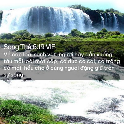 Picture 02 - Sáng Thế 6:19 VIE - Về các loài sanh vật, ngươi hãy dẫn - Bible Verse Picture