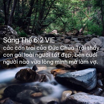 Picture 02 - Sáng Thế 6:2 VIE - các con trai của Đức Chúa Trời thấy - Bible Verse Picture