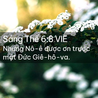 Picture 02 - Sáng Thế 6:8 VIE - Nhưng Nô-ê được ơn trước mặt Đức - Bible Verse Picture