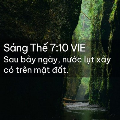Picture 02 - Sáng Thế 7:10 VIE - Sau bảy ngày, nước lụt xảy có trên - Bible Verse Picture