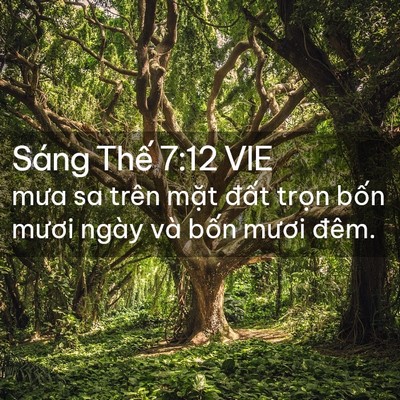 Picture 02 - Sáng Thế 7:12 VIE - mưa sa trên mặt đất trọn bốn mươi - Bible Verse Picture