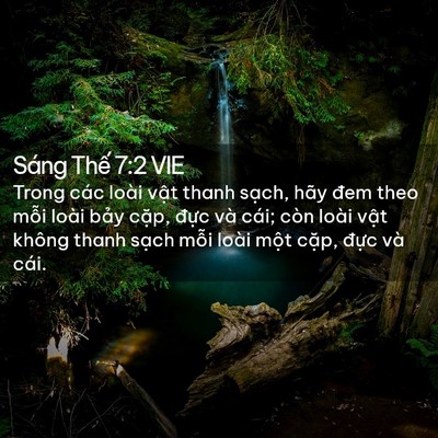 Picture 02 - Sáng Thế 7:2 VIE - Trong các loài vật thanh sạch, hãy đem - Bible Verse Picture