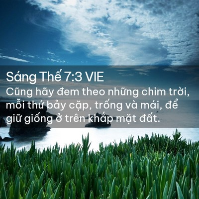 Picture 02 - Sáng Thế 7:3 VIE - Cũng hãy đem theo những chim trời, mỗi - Bible Verse Picture