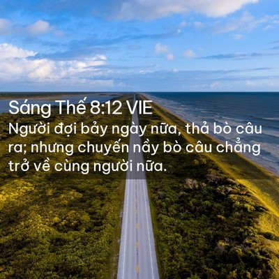 Picture 02 - Sáng Thế 8:12 VIE - Người đợi bảy ngày nữa, thả bò câu - Bible Verse Picture