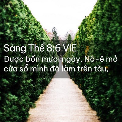 Picture 02 - Sáng Thế 8:6 VIE - Được bốn mươi ngày, Nô-ê mở cửa - Bible Verse Picture