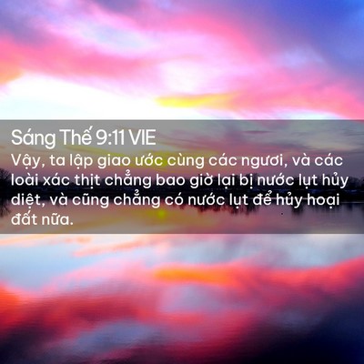 Picture 02 - Sáng Thế 9:11 VIE - Vậy, ta lập giao ước cùng các ngươi, - Bible Verse Picture