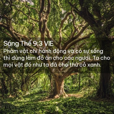 Picture 02 - Sáng Thế 9:3 VIE - Phàm vật chi hành động và có sự sống - Bible Verse Picture