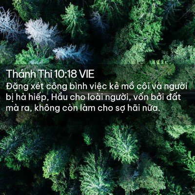 Picture 02 - Thánh Thi 10:18 VIE - Đặng xét công bình việc kẻ mồ côi - Bible Verse Picture