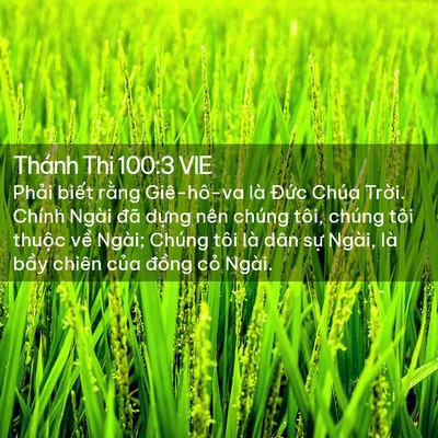 Picture 02 - Thánh Thi 100:3 VIE - Phải biết rằng Giê-hô-va là Đức Chúa - Bible Verse Picture