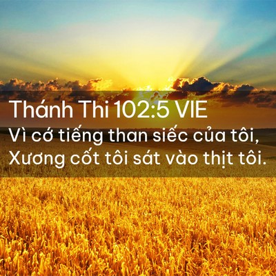 Picture 02 - Thánh Thi 102:5 VIE - Vì cớ tiếng than siếc của tôi, Xương - Bible Verse Picture