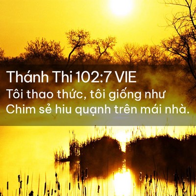 Picture 02 - Thánh Thi 102:7 VIE - Tôi thao thức, tôi giống như Chim sẻ hiu - Bible Verse Picture