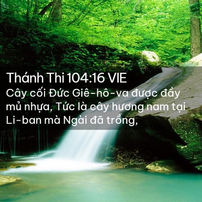 Picture 02 - Thánh Thi 104:16 VIE - Cây cối Đức Giê-hô-va được đầy - Bible Verse Picture