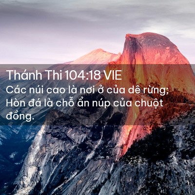 Picture 02 - Thánh Thi 104:18 VIE - Các núi cao là nơi ở của dê rừng; Hòn - Bible Verse Picture