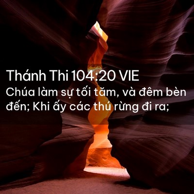 Picture 02 - Thánh Thi 104:20 VIE - Chúa làm sự tối tăm, và đêm bèn - Bible Verse Picture