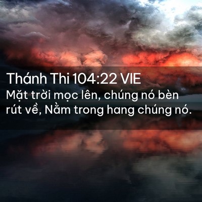Picture 02 - Thánh Thi 104:22 VIE - Mặt trời mọc lên, chúng nó bèn rút - Bible Verse Picture