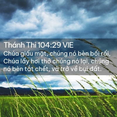 Picture 02 - Thánh Thi 104:29 VIE - Chúa giấu mặt, chúng nó bèn bối rối, - Bible Verse Picture