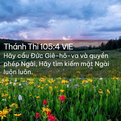 Picture 02 - Thánh Thi 105:4 VIE - Hãy cầu Đức Giê-hô-va và quyền phép - Bible Verse Picture
