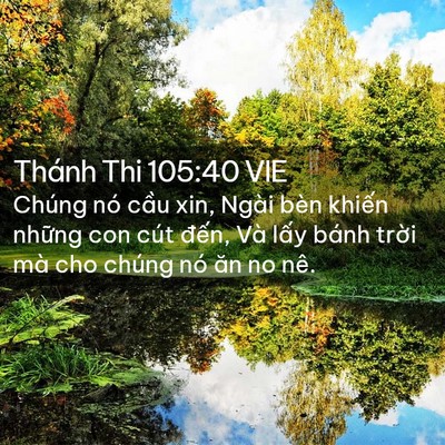 Picture 02 - Thánh Thi 105:40 VIE - Chúng nó cầu xin, Ngài bèn khiến những - Bible Verse Picture