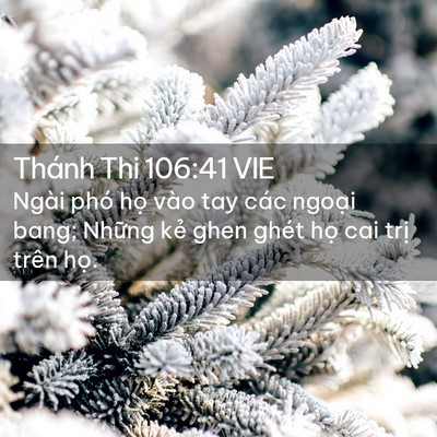 Picture 02 - Thánh Thi 106:41 VIE - Ngài phó họ vào tay các ngoại bang; - Bible Verse Picture