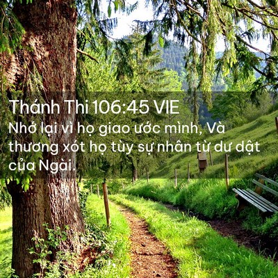 Picture 02 - Thánh Thi 106:45 VIE - Nhớ lại vì họ giao ước mình, Và - Bible Verse Picture