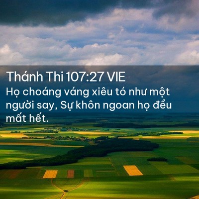 Picture 02 - Thánh Thi 107:27 VIE - Họ choáng váng xiêu tó như một người - Bible Verse Picture