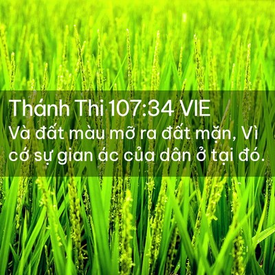 Picture 02 - Thánh Thi 107:34 VIE - Và đất màu mỡ ra đất mặn, Vì cớ - Bible Verse Picture