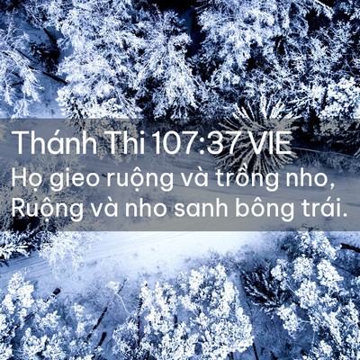 Picture 02 - Thánh Thi 107:37 VIE - Họ gieo ruộng và trồng nho, Ruộng và - Bible Verse Picture