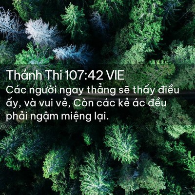 Picture 02 - Thánh Thi 107:42 VIE - Các người ngay thẳng sẽ thấy điều - Bible Verse Picture
