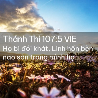 Picture 02 - Thánh Thi 107:5 VIE - Họ bị đói khát, Linh hồn bèn nao sờn - Bible Verse Picture