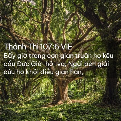 Picture 02 - Thánh Thi 107:6 VIE - Bấy giờ trong cơn gian truân họ kêu - Bible Verse Picture