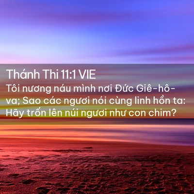 Picture 02 - Thánh Thi 11:1 VIE - Tôi nương náu mình nơi Đức Giê-hô-va; - Bible Verse Picture
