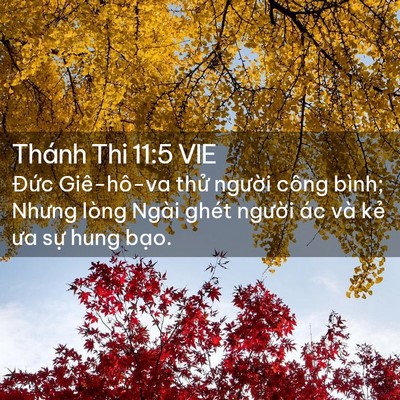 Picture 02 - Thánh Thi 11:5 VIE - Đức Giê-hô-va thử người công bình; - Bible Verse Picture