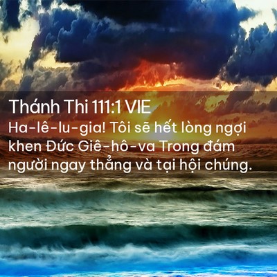 Picture 02 - Thánh Thi 111:1 VIE - Ha-lê-lu-gia! Tôi sẽ hết lòng ngợi khen - Bible Verse Picture