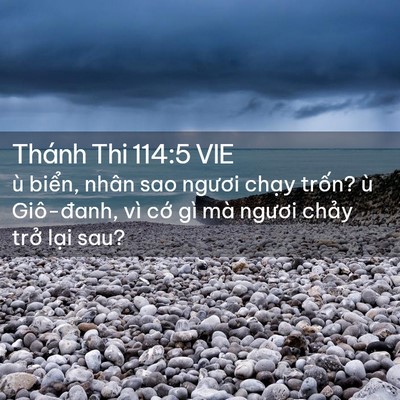 Picture 02 - Thánh Thi 114:5 VIE - ù biển, nhân sao ngươi chạy trốn? ù - Bible Verse Picture