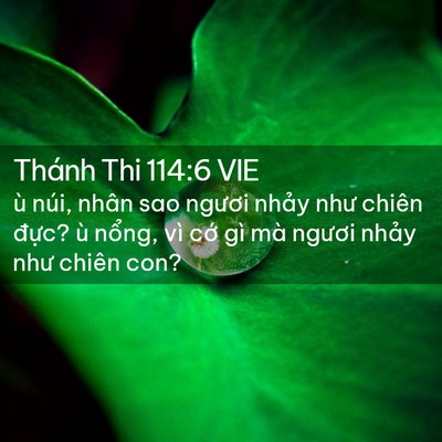 Picture 02 - Thánh Thi 114:6 VIE - ù núi, nhân sao ngươi nhảy như chiên - Bible Verse Picture