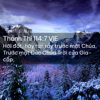 Picture 02 - Thánh Thi 114:7 VIE - Hỡi đất, hãy run rẩy trước mặt - Bible Verse Picture