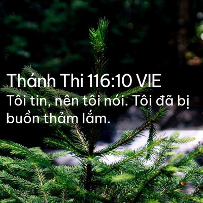 Picture 02 - Thánh Thi 116:10 VIE - Tôi tin, nên tôi nói. Tôi đã bị buồn - Bible Verse Picture