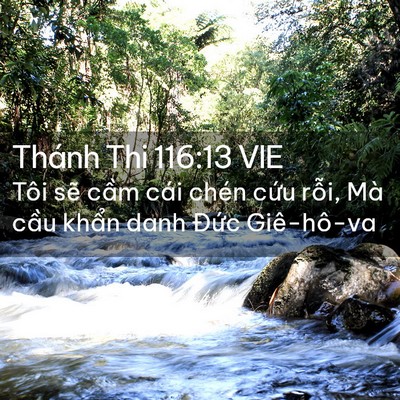 Picture 02 - Thánh Thi 116:13 VIE - Tôi sẽ cầm cái chén cứu rỗi, Mà cầu - Bible Verse Picture