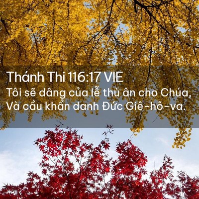 Picture 02 - Thánh Thi 116:17 VIE - Tôi sẽ dâng của lễ thù ân cho Chúa, - Bible Verse Picture
