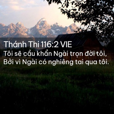 Picture 02 - Thánh Thi 116:2 VIE - Tôi sẽ cầu khẩn Ngài trọn đời tôi, - Bible Verse Picture