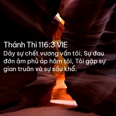 Picture 02 - Thánh Thi 116:3 VIE - Dây sự chết vương vấn tôi, Sự đau - Bible Verse Picture